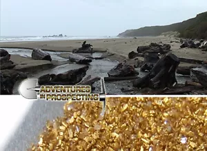 Strandbergbau Wie man das Gold vom Strand trennt DVD - Bild 1 von 1