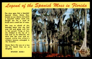 Postal Leyenda Musgo Español en Florida - Imagen 1 de 2