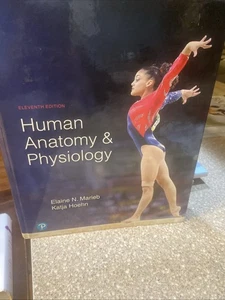 Menschliche Anatomie und Physiologie von Elaine Marieb und Katja Hoehn (2018, Hardcover) - Bild 1 von 1