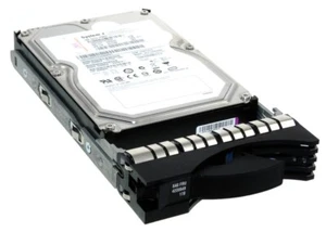 Disco Rigido IBM 42D0549 1TB SAS 7.2K 3.5'' - Foto 1 di 3