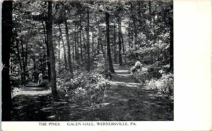 1910s PA Postcard The Pines Galen Hall Wernersville Penn Pennsylvania - Picture 1 of 2