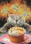 Avanti Press Cat With Sparkler Cake Funny  Humorous Birthday Card photo