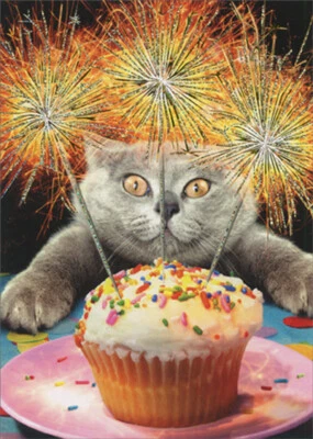 Avanti Press Cat With Sparkler Cake Funny Humorous Birthday Card