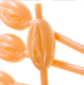 Funny Vagina Straws for Bacherlor & Bachelorette Party Pack 4 - Picture 1 of 4