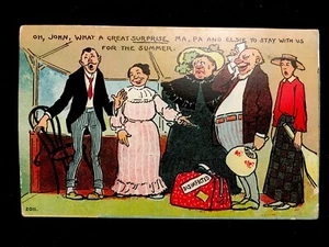 Original c1909 Disinfected- Surprise Summer Visitors Comic Vintage Postcard - Picture 1 of 2