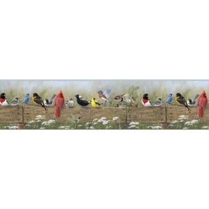 Clarence Green Song Bird Menagerie Portrait EasyWalls Wallpaper Border BBC44671B - Picture 1 of 3