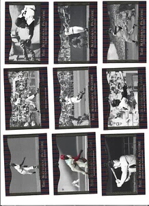 Lote de tarjetas de béisbol 2001 Upper Deck The National Pastime Hall of Fame - Imagen 1 de 2