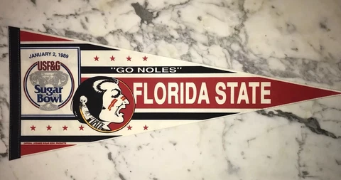 FLORIDA STATE SEMINOLES 1989 SUGAR BOWL PENNANT Cover