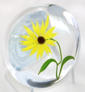 Besonderer PAUL STANKARD blühend gelb GÄNSEBLÜMCHEN experimentelle Kunst Glas BRIEFBESCHWERER - Bild 1 von 9