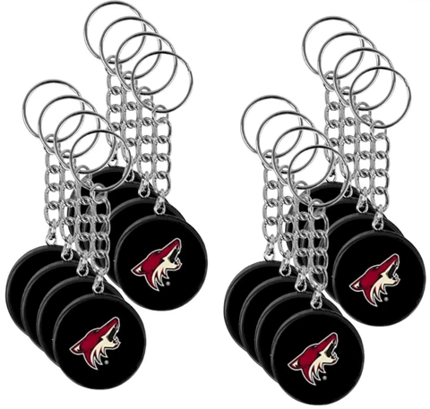 Arizona Coyotes Mini Hockey Puck Keychains NHL Wholesale Lot (8 Count) Cover