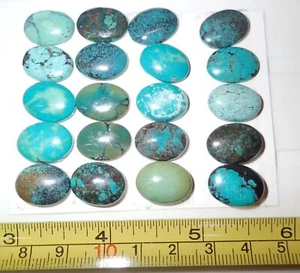 Turquoise Stone Oval 16x12 mm Cabochon 117 Carat 20 pieces 23.4 gram - Picture 1 of 3