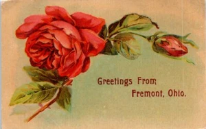 1900s OH Postcard Roses Greetings From Fremont Ohio Floral - Picture 1 of 2