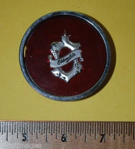 OEM Fábrica Original Stock Oldsmobile Llanta Central Tapa Inserto Emblema 254842 - Imagen 1 de 3