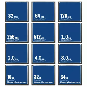 OEM CF 1GB 2GB 4GB 8GB 16GB 32 64GB 32/64/128/256/512MB CompactFlash Memory Card - Picture 1 of 29