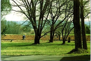 Potato Planting Gethsemani Abbey Trappist, Kentucky Postcard - Picture 1 of 2