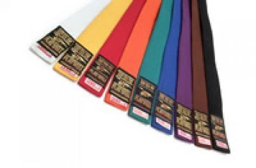 Plain Coloured Grading Belts 360CM Big Large Karate Judo Taekwondo Adults Long - Image 1 of 1