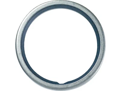 For 1981-1988, 1992-2002, 2019 Kenworth W900 Thermostat O-Ring Gates 48932CFHQ - Image 1 of 2