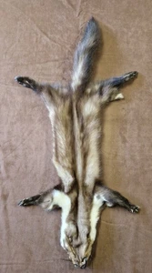 Marderfelle Steinmarder Baummarder Marder Larp Mittelalter Top gegerbt Neu - Bild 1 von 4