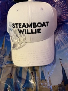 Sombrero Willie Destination 23 The Walt Disney Company Steamboat - Imagen 1 de 4