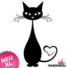 Wandtattoo Katze - Kätzchen Cat Herz Liebe Love - W32