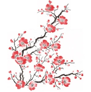 Kirschblüten Shirt, Blumenmuster, Damen, Damen, T-Shirt, Gr. Small - Bild 1 von 1