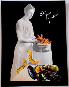 Collage de arte surrealista original 8x11 come tu proteína como nuevo vintage para dama y insectos - Imagen 1 de 4