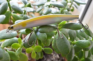 TAKE Wobbler Popper Jerkbait Crankbait Stickbait Hecht Zander 12cm,16gr Sinking  - Bild 1 von 1