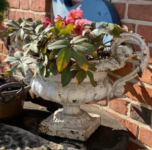 Vase Vasen Blumentopf Garten Steinvase Gußvase Pflanzgefäß Henkelvase Louis XVI - Bild 1 von 7