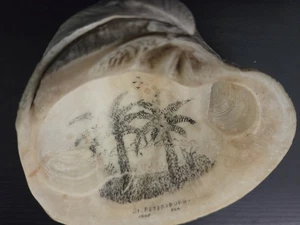 1935 St Petersburg Florida Sea Shell / Heavy /Miight have been a Ashtray - Picture 1 of 6