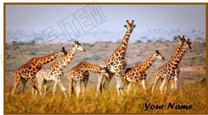 Giraffe VINYLPersonalized Checkbook Cover - Picture 1 of 5