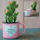 2-In-1 HOME IS WHERE YOUR MOM IS Faux Cactus Succulent Coffee Mug, New