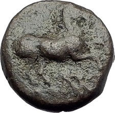 MARONEIA Thrace 400BC Authentic Ancient Greek Coin w HORSE & WINE GRAPES i64661