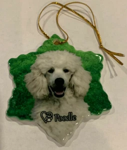Poodle Dog Porcelain Star Shaped Christmas Ornament New  - Picture 1 of 1