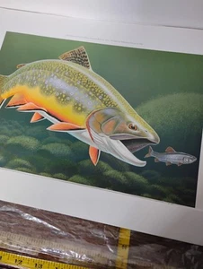1994 Framed PA Pennsylvania Trout Stamp & Print Fishing License Stamp Signed - Picture 1 of 7