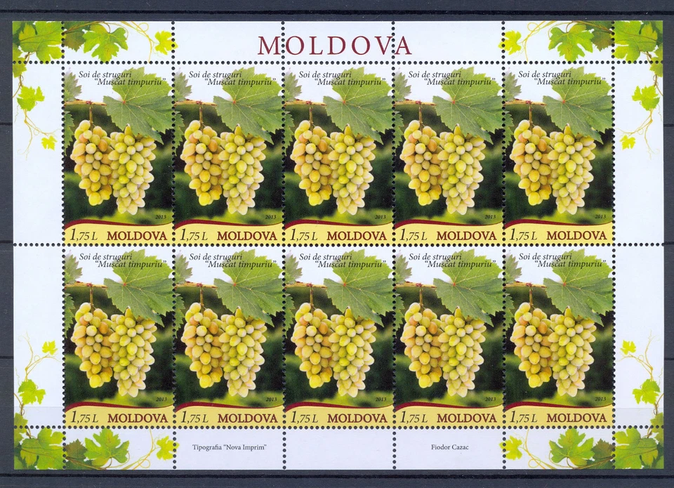 Moldova 2013 Plants Grape 10 MNH stamp Full sheet - Image 1 of 1