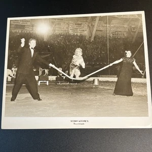 Vtg 1940-50s Sonny Moore's Roustabouts Trained Dog Circus Show Performer Photo - Picture 1 of 7