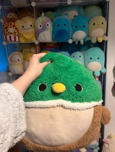 Squishmallows Fabrikdefekt Fuzzamallow 16" Avery die Stockente Rarität selten - Bild 1 von 5