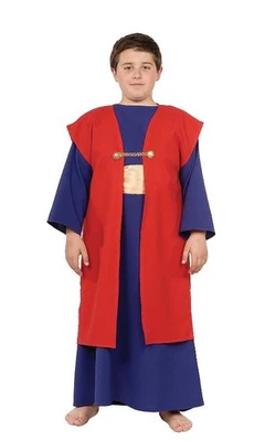 NUEVO Disfraz Underwraps Wiseman I 3 piezas Niños Niño Mediano 6 7 8 púrpura rojo dorado Foto 1 de 2