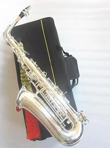 JAS-700 Alto Eb Saxophone Silvering Musical Instrument Sax With Case Mouthpiece - Picture 1 of 4