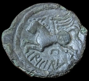 Suessions Bronze Cricirv - Picture 1 of 2