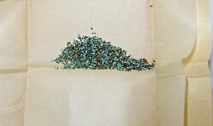 VTG Lot of 7 Bags each 100 doz Newfire Chatons Aqua Czech Rhinestones Size 3 - Picture 1 of 4