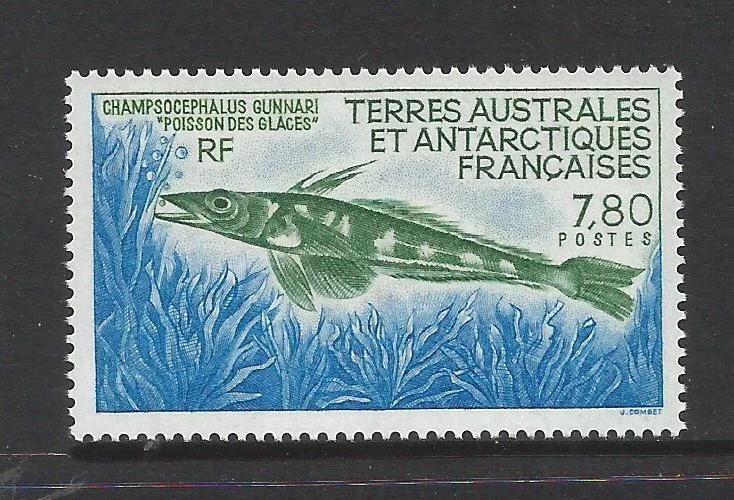 FRENCH ANTARCTIC 1991  FISH.  MINT NEVER HINGED. - Image 1 of 1