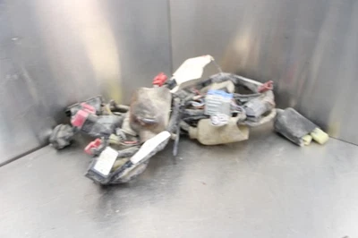 02-03 HONDA CBR954RR 954RR MAIN ENGINE WIRING HARNESS MOTOR WIRE LOOM NO CUTS Foto 1 de 4