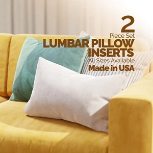 Pack of 2 Lumbar Pillow Inserts Forms Decorative Home Boudoir Pillows USA Made - Picture 1 of 10