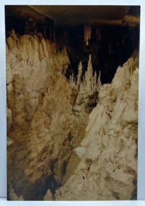 Jaskinie Waitomo: Wejście do katedry Nowa Zelandia Vintage Pocztówka