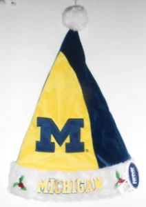 Michigan Wolverines Adult Unisex Santa Hat Too Cool! New Licensed S36 - Picture 1 of 2