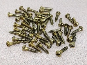 Vtg #5 x 1/2" Brass Wood Screws Round Head Slotted Lot of 50 New Old Stock - Picture 1 of 7