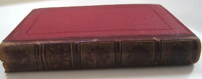 LES CHATS 1870 Champfleury Illustrated CAT BOOK Includes MANET Engraving & More - Image 1 of 4