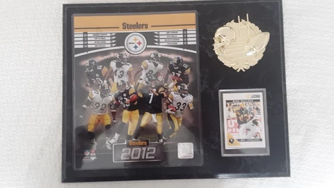 Pittsburgh Steelers Plaque Cover