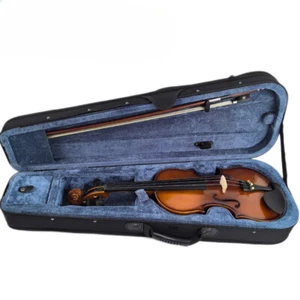 Violin Nature Spruce Wood 1/4 Maple Side With Case - Picture 1 of 7
